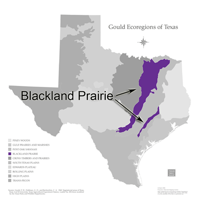 blackland prairie